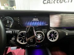 Tank 300 Off-Road Edition 2.0T Conqueror - ფოტო 11