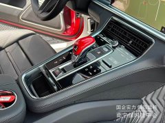 Porsche Panamera 2.9T - ფოტო 13