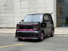 Geely Panda 210km Panda Kart - ფოტო 1