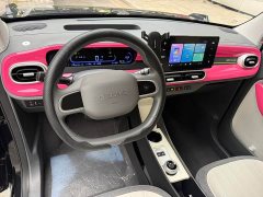 Geely Panda 210km Panda Kart - ფოტო 10
