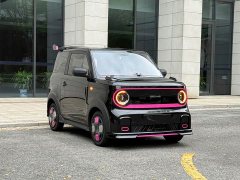 Geely Panda 210km Panda Kart - ფოტო 3