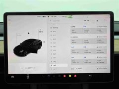 Tesla Model 3 2021 Standard Range RWD Upgrade 3D6 - ფოტო 14