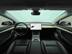 Tesla Model 3 2021 Standard Range RWD Upgrade 3D6 - ფოტო 16