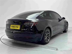 Tesla Model 3 2021 Standard Range RWD Upgrade 3D6 - ფოტო 6