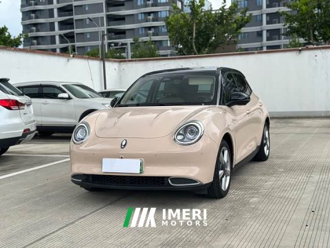 2021 ORA Good Cat 400km Standard Range Venus Edition LFP Battery - ავტომობილი ჩინეთიდან