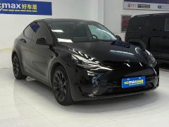 Tesla Model Y Rear-Wheel Drive - ფოტო 3