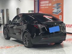 Tesla Model Y Rear-Wheel Drive - ფოტო 6