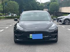 Tesla Model 3 Performance All-Wheel Drive - ფოტო 3