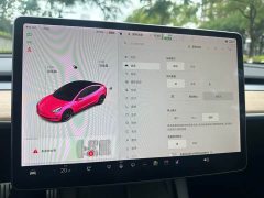 Tesla Model 3 Performance All-Wheel Drive - ფოტო 9