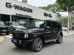Mercedes-Benz G-Class G 500 - ფოტო 1