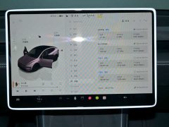 Tesla Model Y Rear-Wheel Drive - ფოტო 10