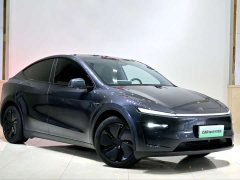 Tesla Model Y Rear-Wheel Drive - ფოტო 3