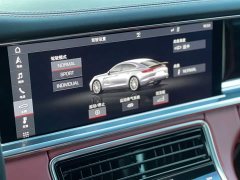 Porsche Panamera Executive Extended Wheelbase 2.9T - ფოტო 16