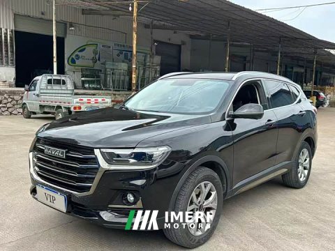 2021 Haval H6 National Trend 1.5GDIT Automatic Champion Edition - ავტომობილი ჩინეთიდან