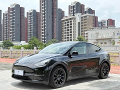 Tesla Model Y Standard Range RWD - ფოტო 1