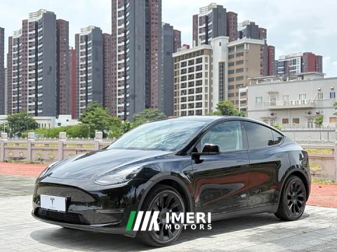 2021 Tesla Model Y Standard Range RWD - ავტომობილი ჩინეთიდან