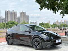 Tesla Model Y Standard Range RWD - ფოტო 3