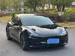 Tesla Model 3 Facelift Standard Range RWD Upgrade 3D1 - ფოტო 1