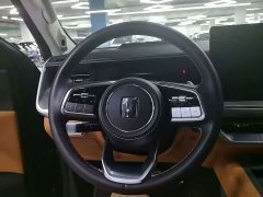 Tank 500 3.0T Sport Landscape Edition 5-Seater - ფოტო 10