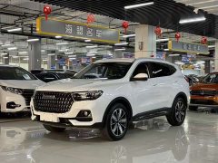 Haval H6 National Trend Edition 1.5T Automatic Champion Version - ფოტო 1