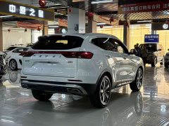 Haval H6 National Trend Edition 1.5T Automatic Champion Version - ფოტო 11
