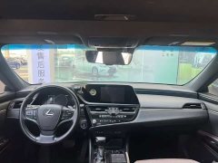 Lexus ES 300h Premium Edition - ფოტო 8
