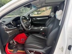Geely Emgrand 1.8T Pilot Plus - ფოტო 4