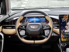 Geely Boyue L 2.0TD DCT Luxury - ფოტო 11