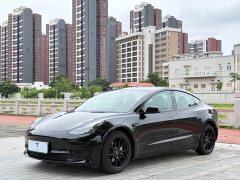 Tesla Model 3 Rear-Wheel Drive - ფოტო 1