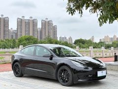 Tesla Model 3 Rear-Wheel Drive - ფოტო 3