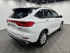 Haval M6 2021 PLUS 1.5T Manual Luxury Smart Connected Edition - ფოტო 7