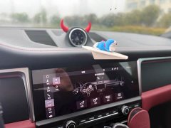 Porsche Macan 2.0T - ფოტო 14