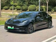 Tesla Model 3 Facelift Standard Range RWD Upgrade 3D1 - ფოტო 1