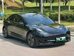 Tesla Model 3 Facelift Standard Range RWD Upgrade 3D1 - ფოტო 2