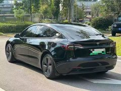 Tesla Model 3 Facelift Standard Range RWD Upgrade 3D1 - ფოტო 6