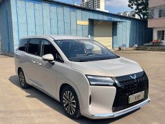 Wuling Starlight 730 New Energy PHEV 125km Luxury - ფოტო 3