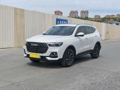 Haval H6 2023 National Trend Edition 1.5T Automatic Urban Version - ფოტო 1
