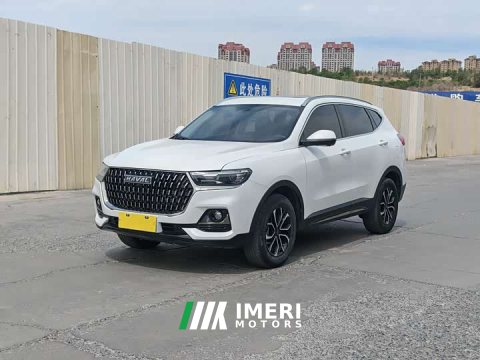 2024 Haval H6 2023 National Trend Edition 1.5T Automatic Urban Version - ავტომობილი ჩინეთიდან
