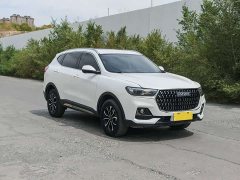 Haval H6 2023 National Trend Edition 1.5T Automatic Urban Version - ფოტო 3