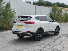 Haval H6 2023 National Trend Edition 1.5T Automatic Urban Version - ფოტო 9
