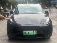 Tesla Model Y 2023 Rear-Wheel Drive - ფოტო 2