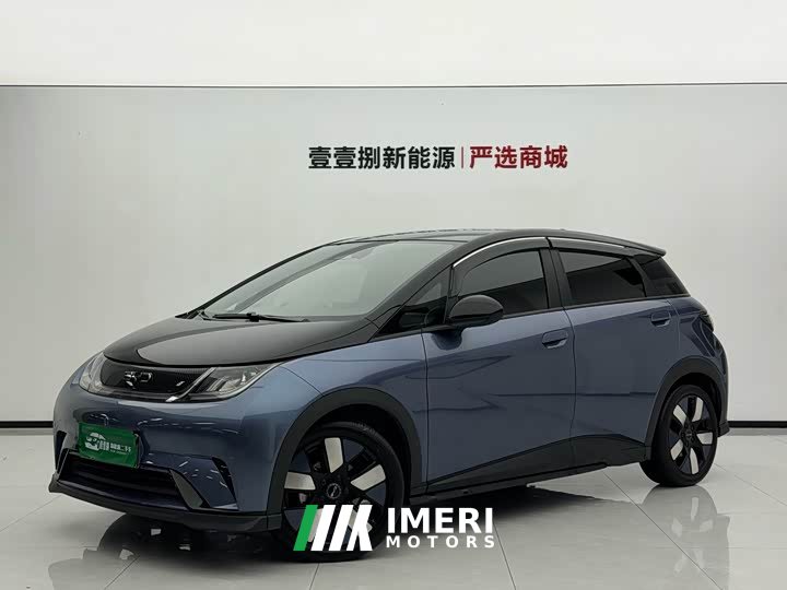 BYD Dolphin 520km Knight Edition - ავტომობილი ჩინეთიდან