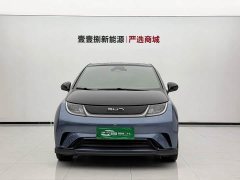 BYD Dolphin 520km Knight Edition - ფოტო 2