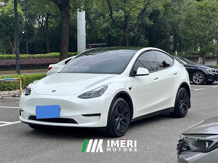 Tesla Model Y Long Range All-Wheel Drive - ავტომობილი ჩინეთიდან