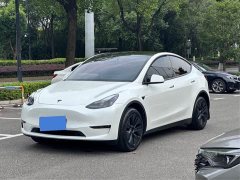 Tesla Model Y Long Range All-Wheel Drive - ფოტო 1