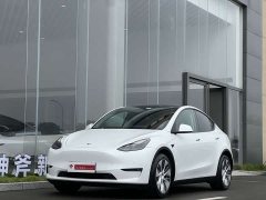 Tesla Model Y Long Range All-Wheel Drive - ფოტო 1