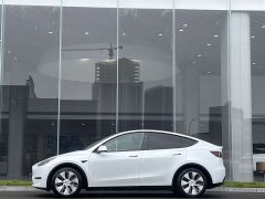 Tesla Model Y Long Range All-Wheel Drive - ფოტო 3