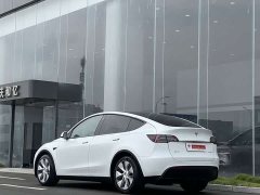 Tesla Model Y Long Range All-Wheel Drive - ფოტო 4