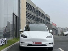 Tesla Model Y Long Range All-Wheel Drive - ფოტო 5