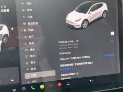 Tesla Model Y Long Range All-Wheel Drive - ფოტო 6